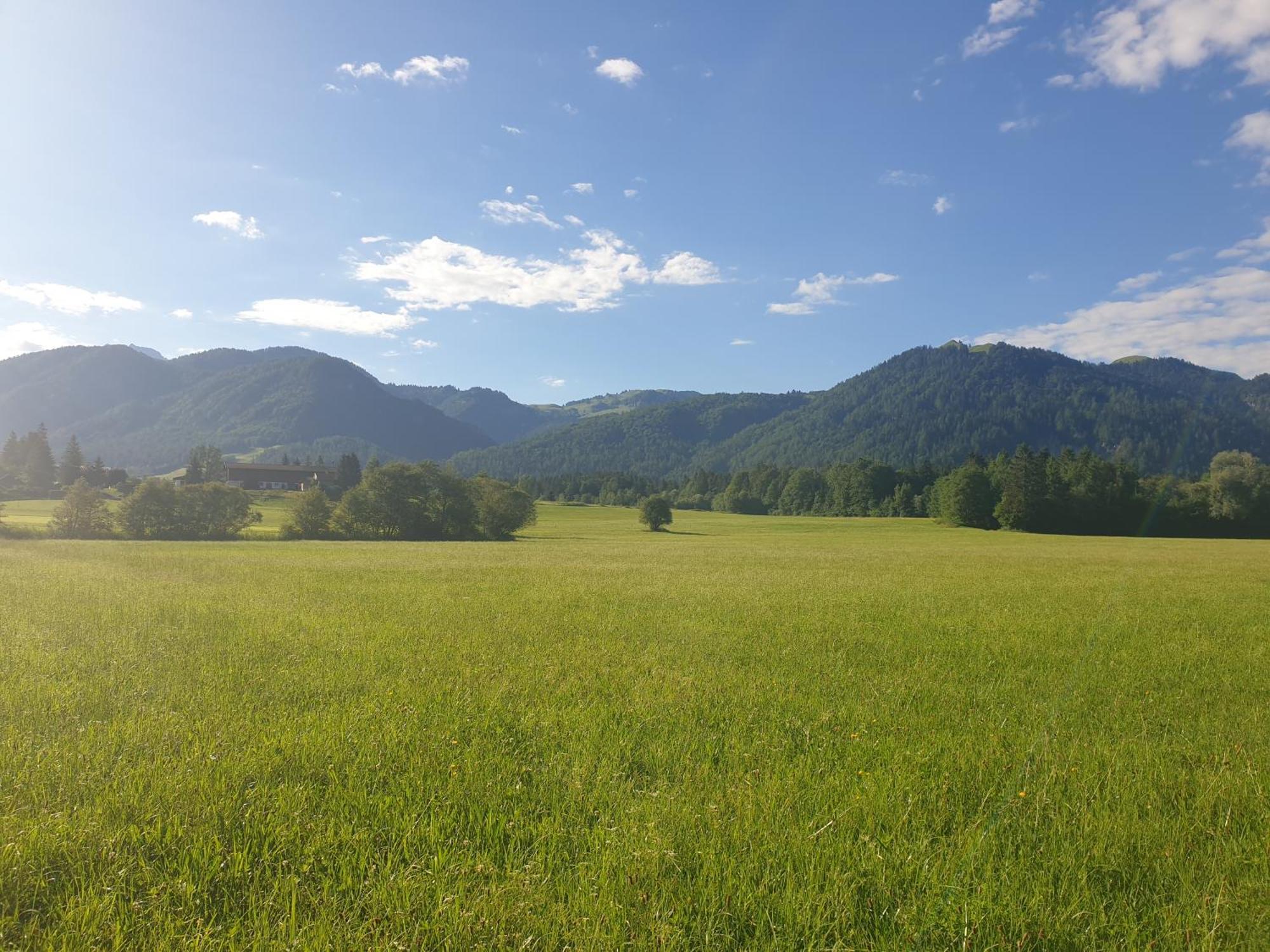 Appartementhaus Huettenberger Erpfendorf Kültér fotó