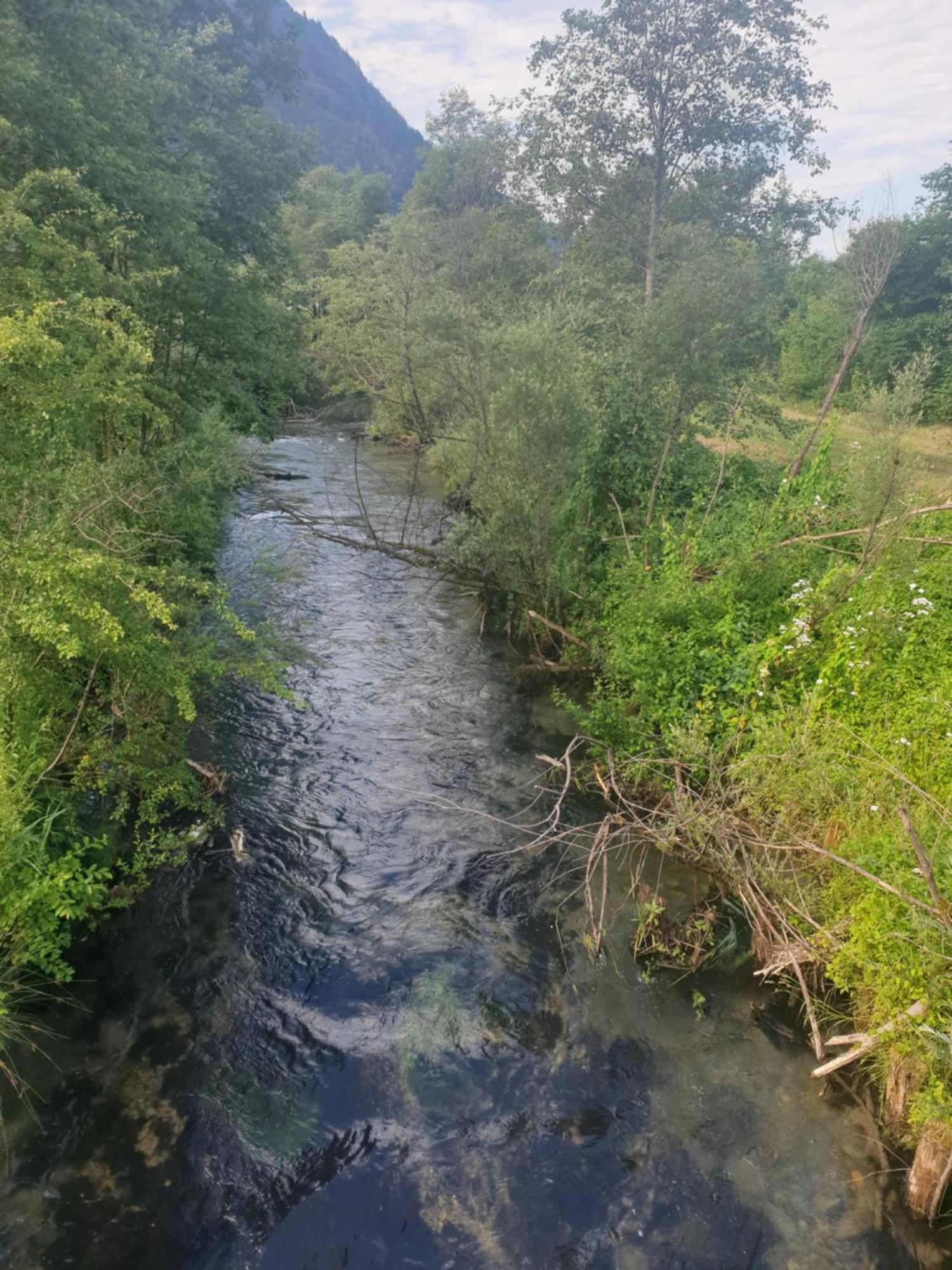 Appartementhaus Huettenberger Erpfendorf Kültér fotó