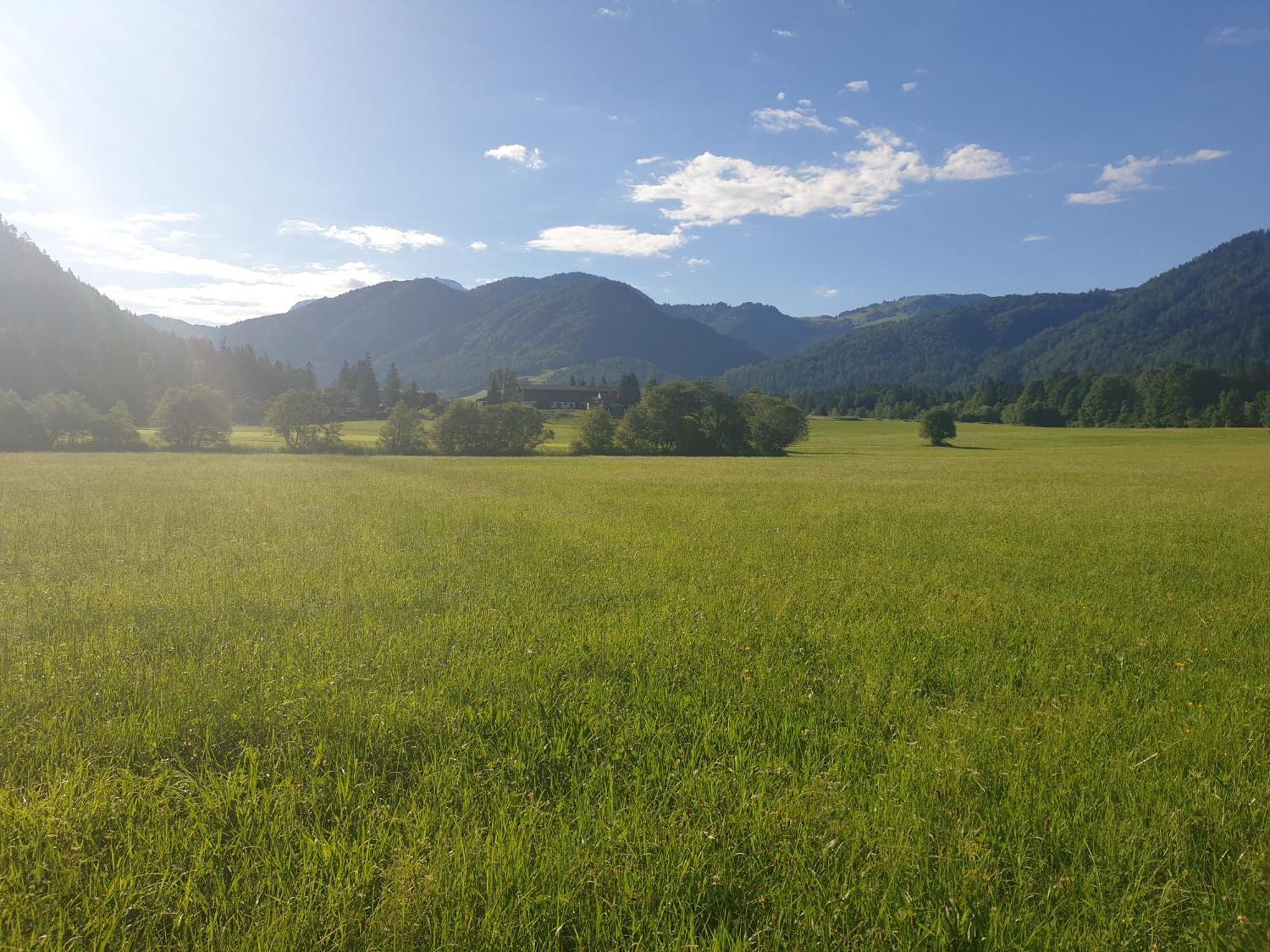 Appartementhaus Huettenberger Erpfendorf Kültér fotó